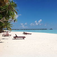 Фото спокойного пляжа Мальдив