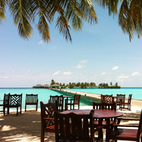 Фото ресторана на берегу Индийского океана